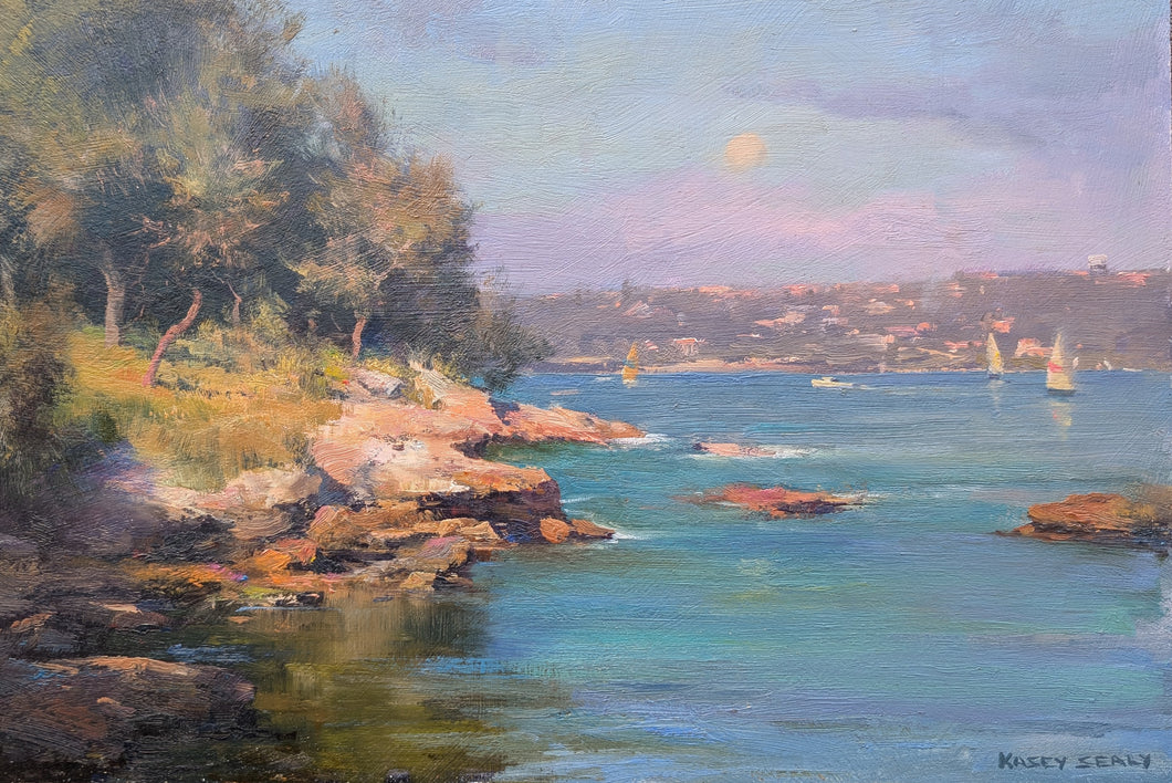 Rocky Shoreline Mosman