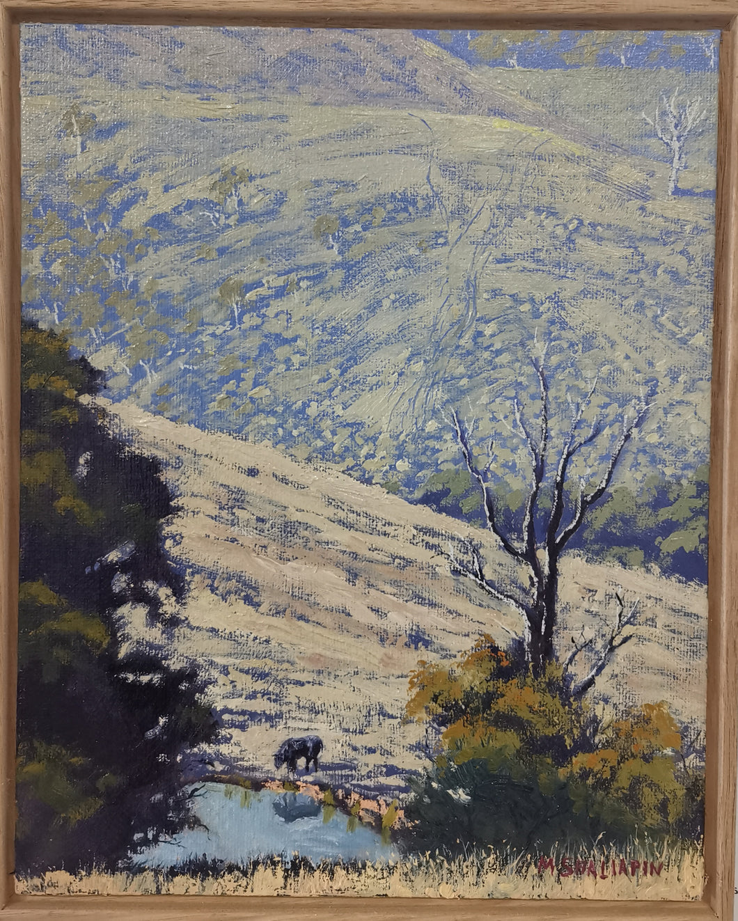 Rolling Hills West of the Great Dividing Range