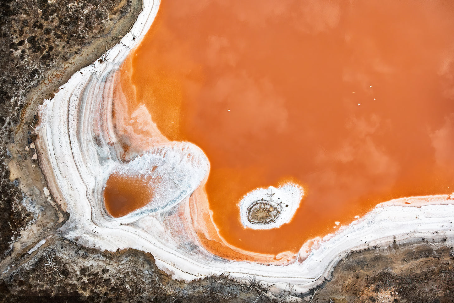 Salt & Silt #1