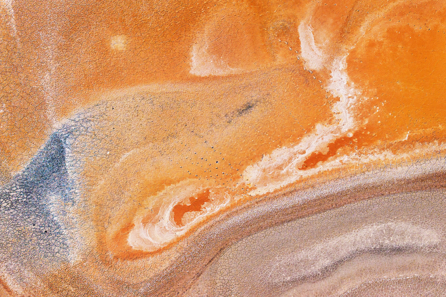 Salt & Silt #5