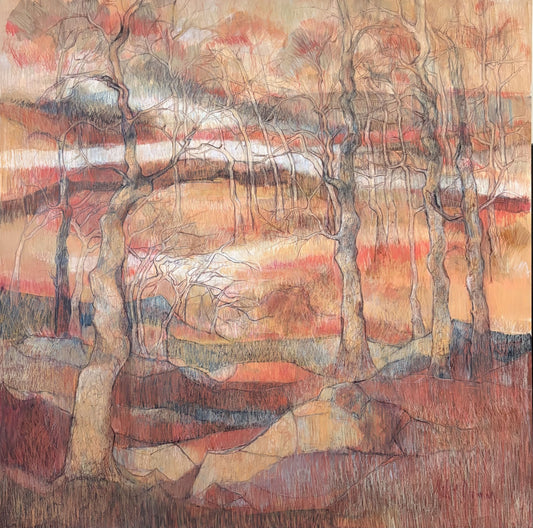 Scribbly Bark Gums