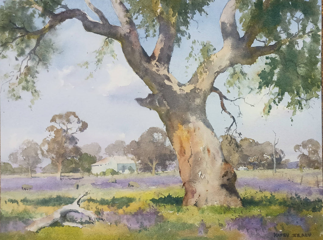 Spring Colours Forbes