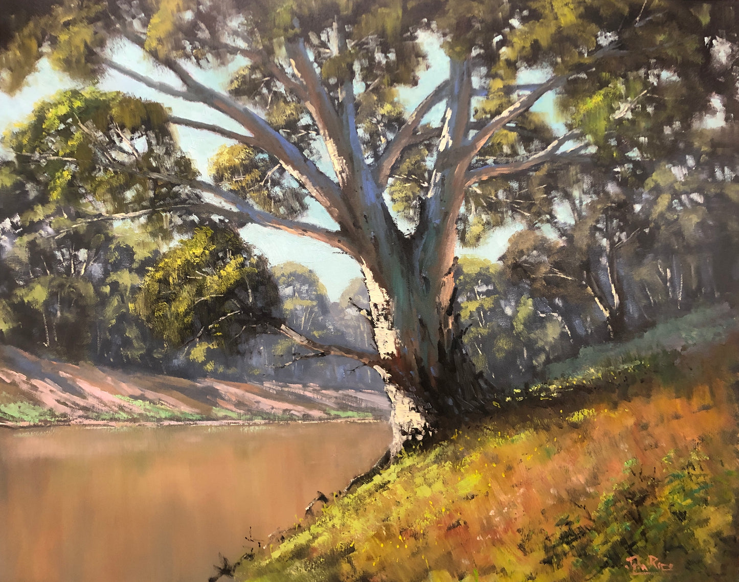 The Darling River