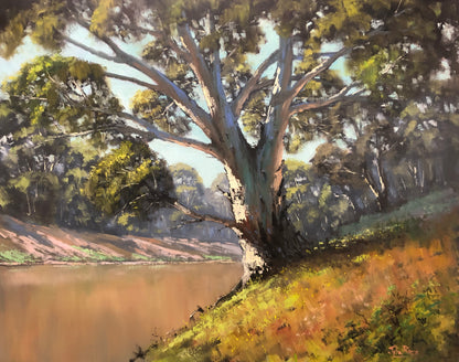 The Darling River