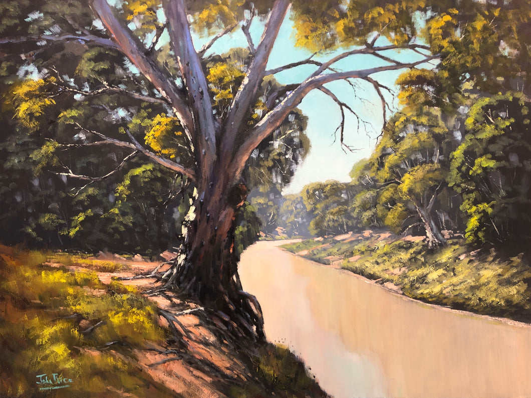 The Darling River at Wilcannia