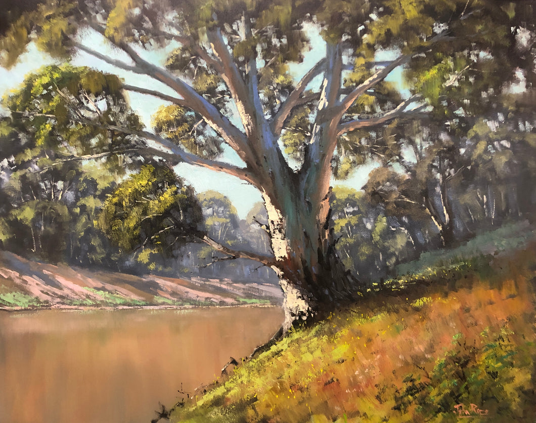 The Darling River