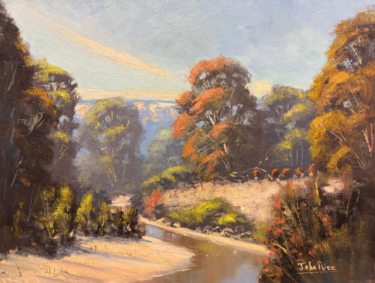The Wolgan River