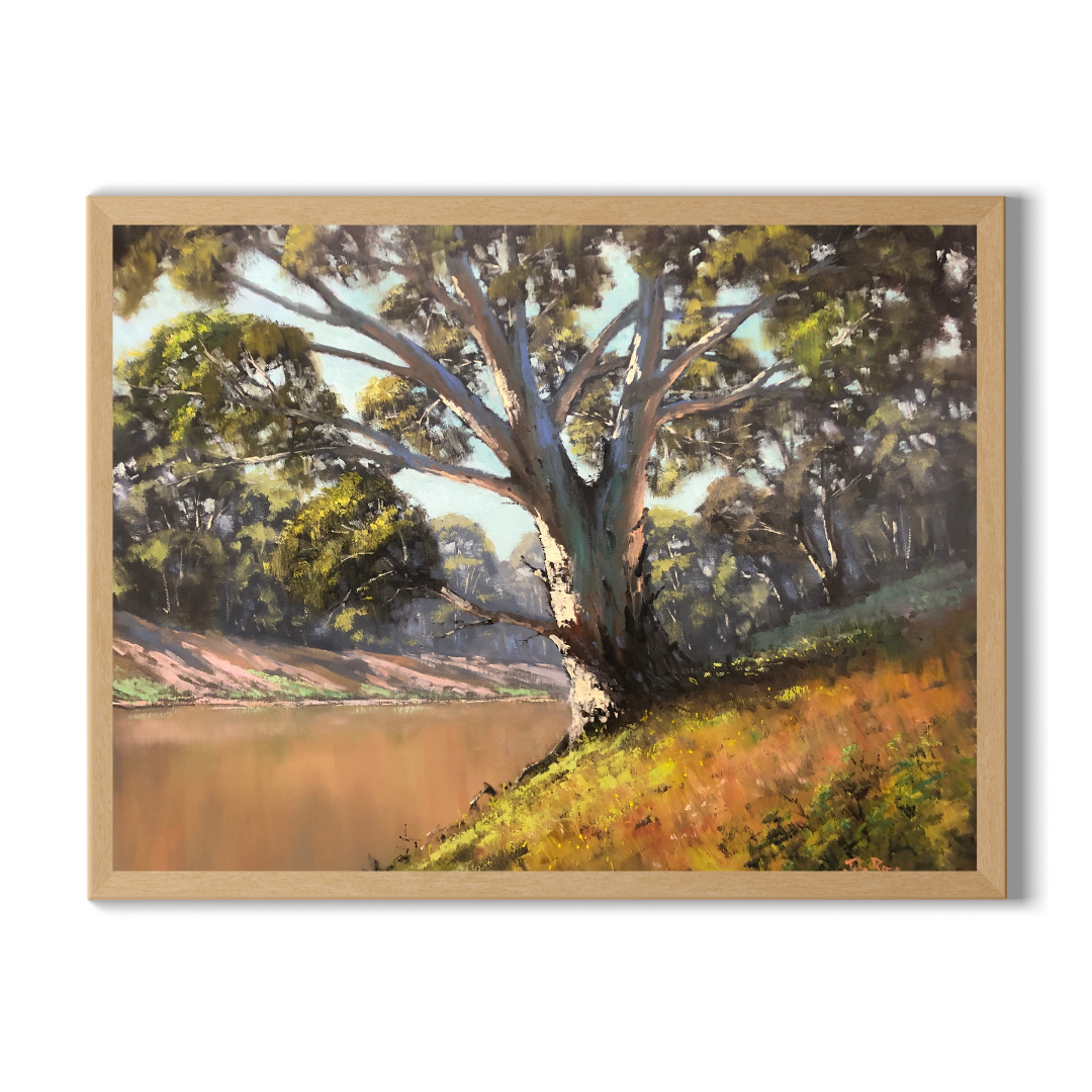 The Darling River