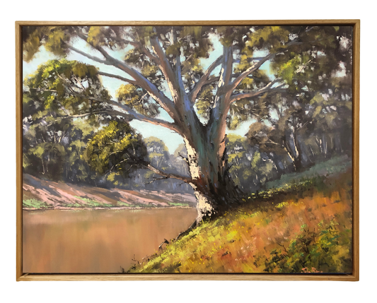 The Darling River
