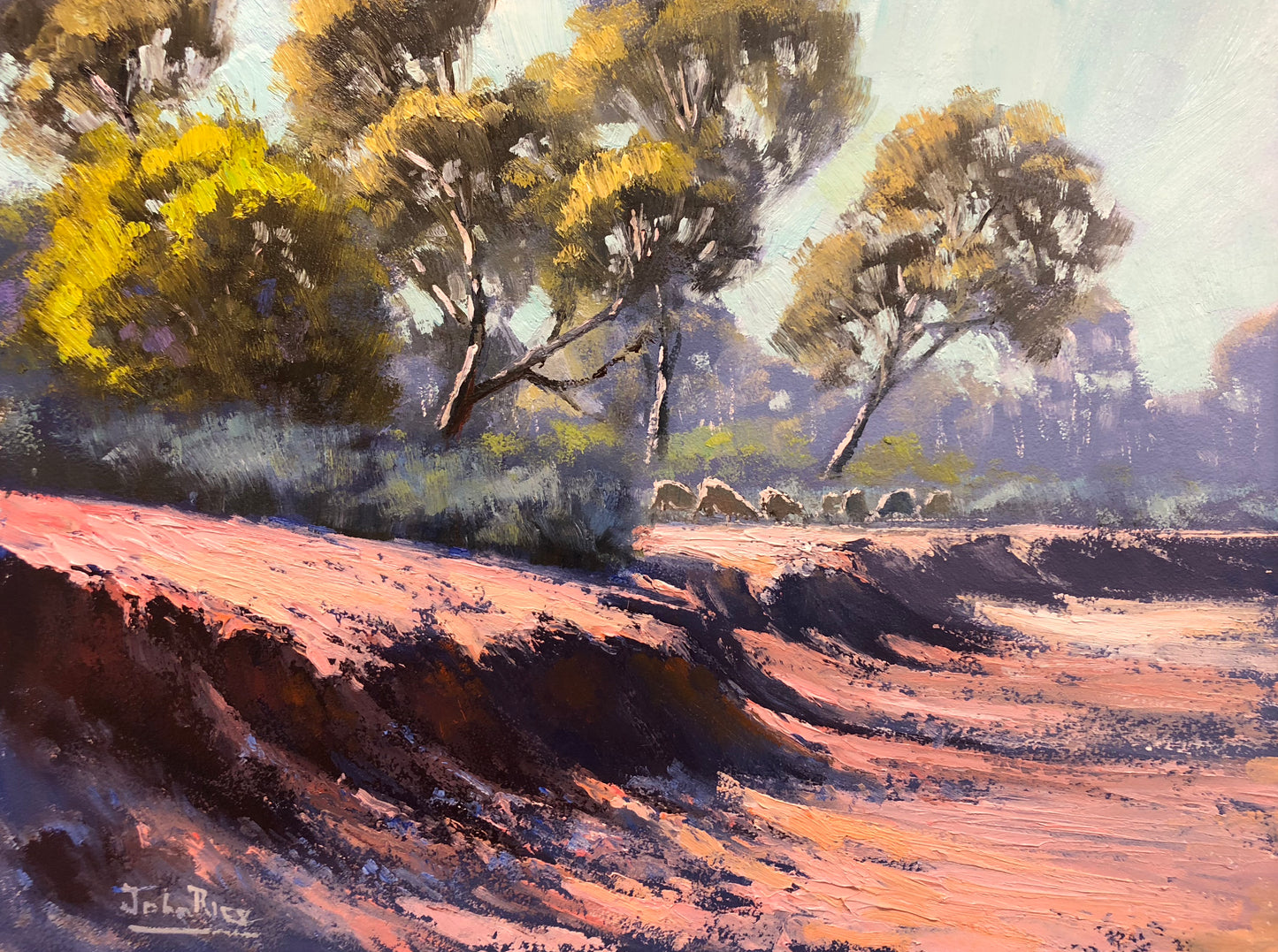 Unframed Original Landscapes by John Rice