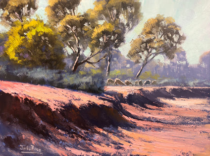 Unframed Original Landscapes by John Rice