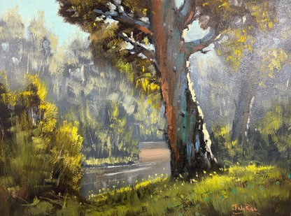 Unframed Original Landscapes by John Rice
