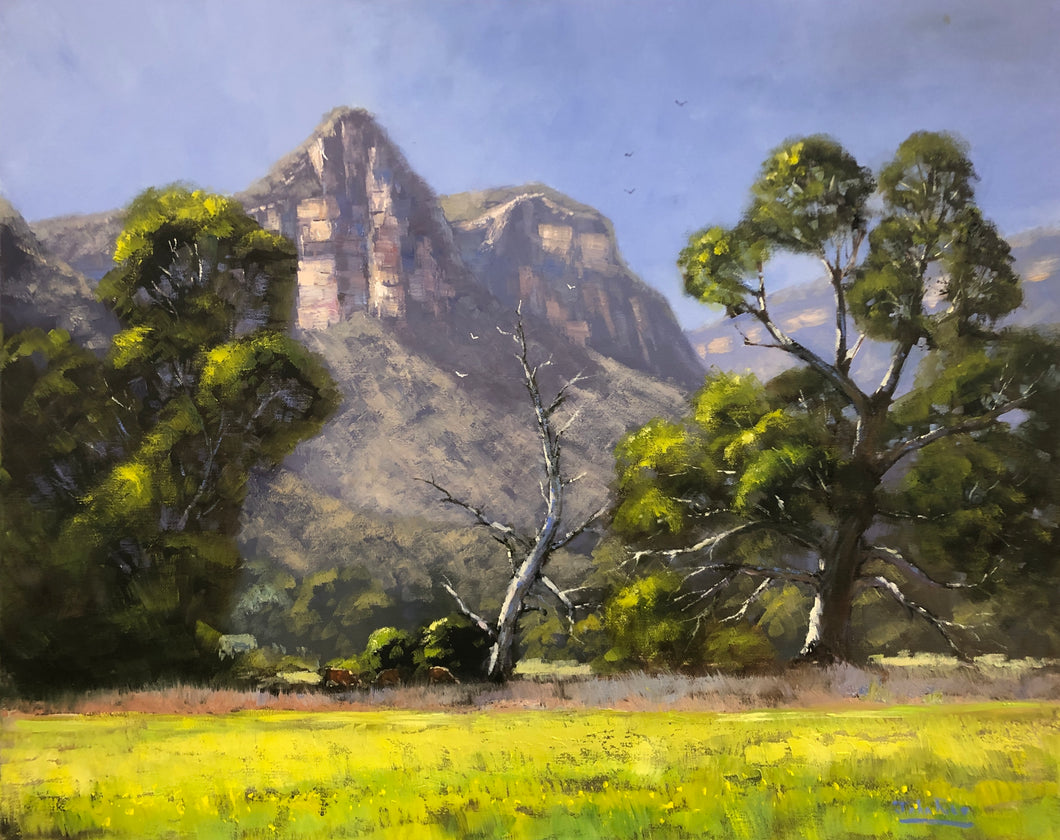 Towering Cliffs, Glen Davis