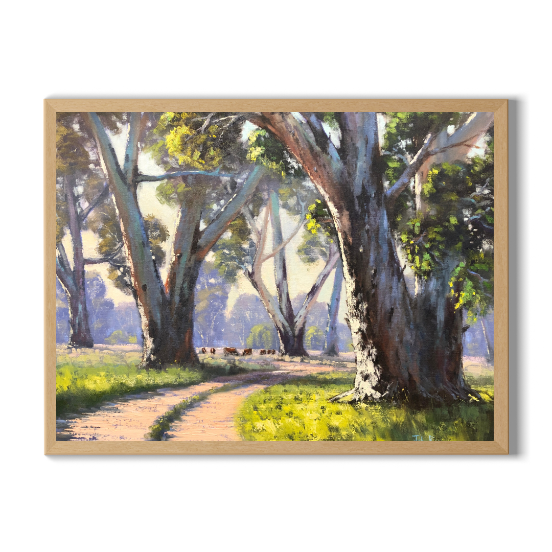Track to The River