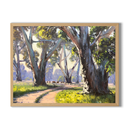 Track to The River