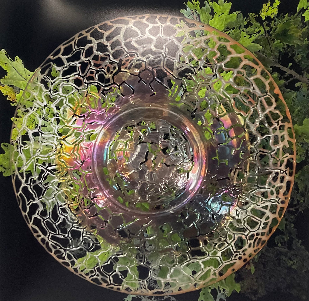 Tree of Life Oak (Dugan/Diamond)