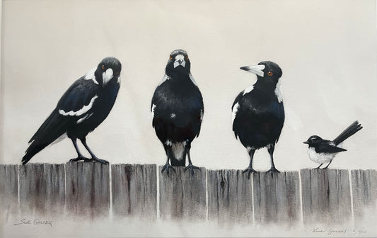 Trio of Magpies - Limited Edition Print