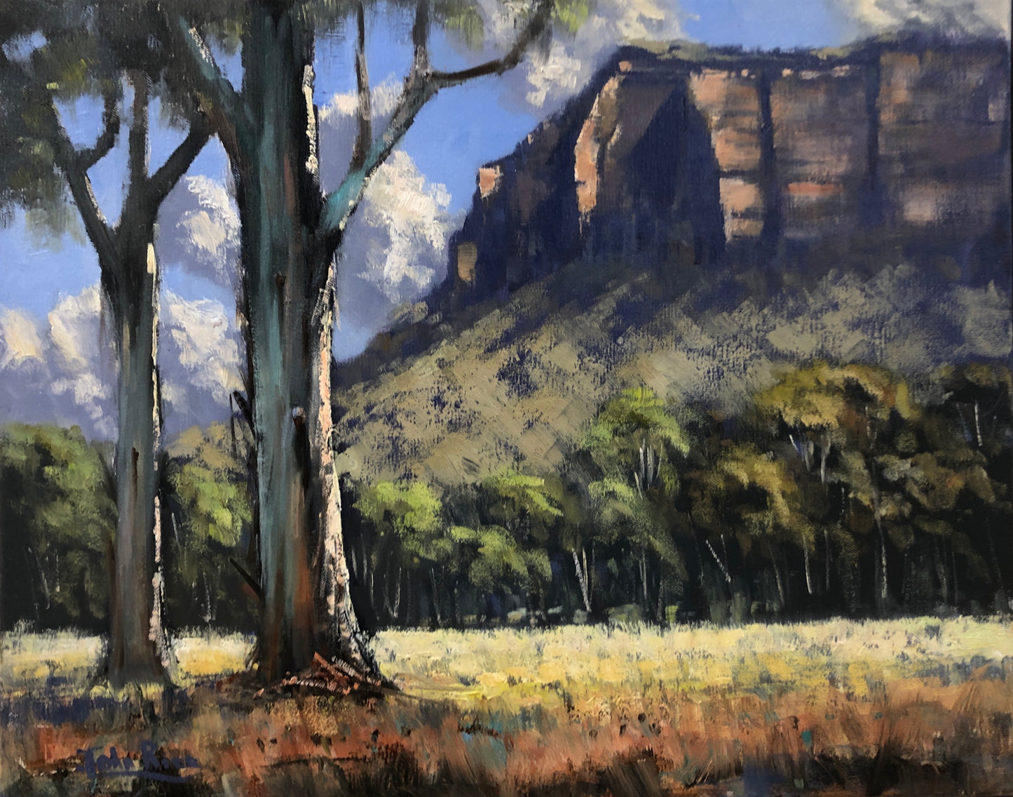 Under The Cliffs Glen Davis (Plein Air)