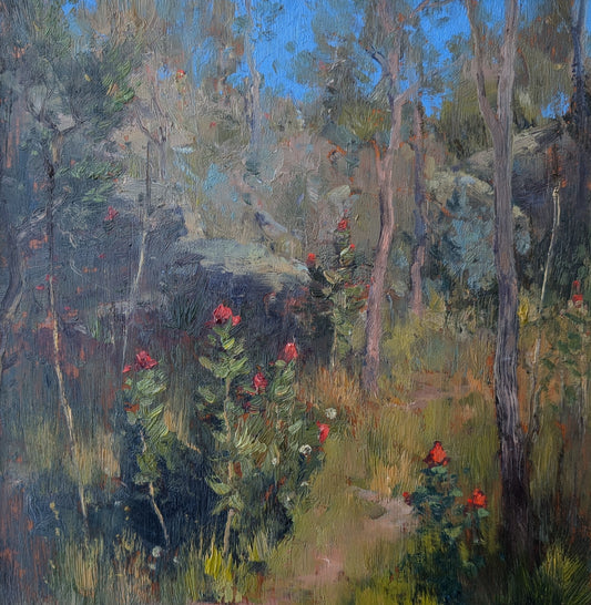 Walk Among the Waratahs