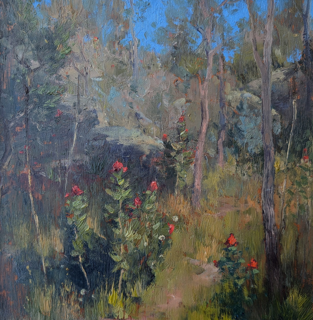 Walk Among the Waratahs