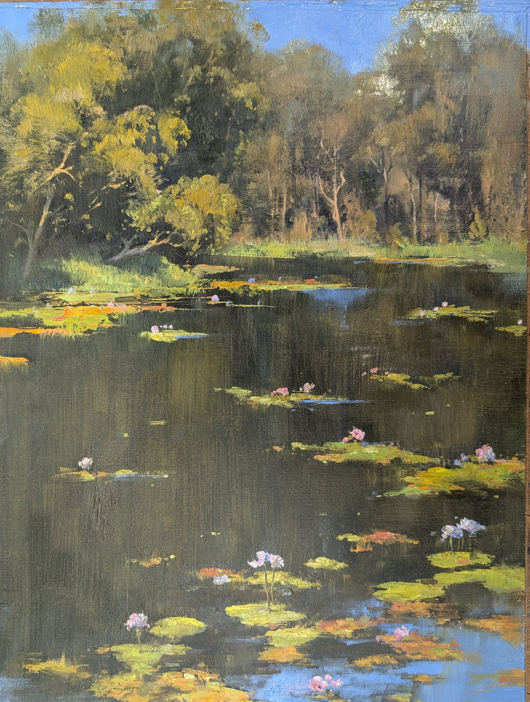 Water Lilies Gladstone