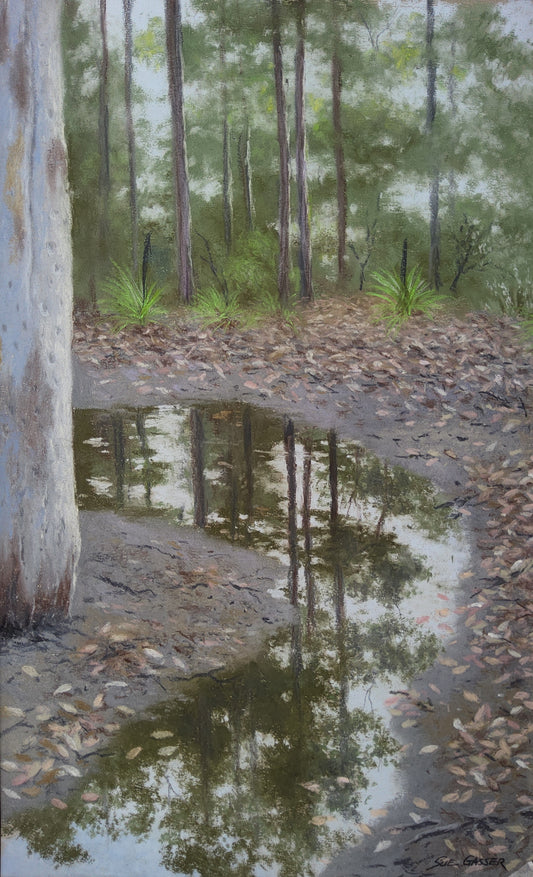 After the Rain - Bush Track East Blaxland