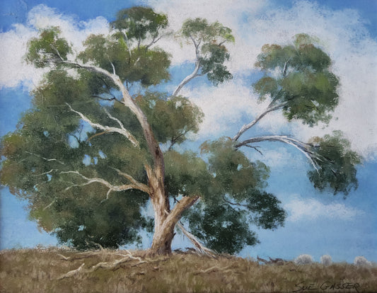 Country Gum - Yeoval