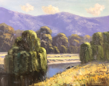 Creek at Turondale