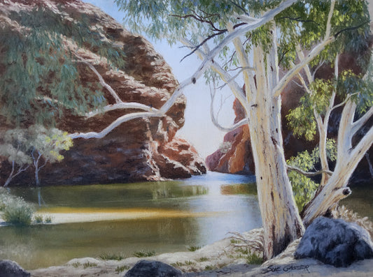 Ellery Creek - NT