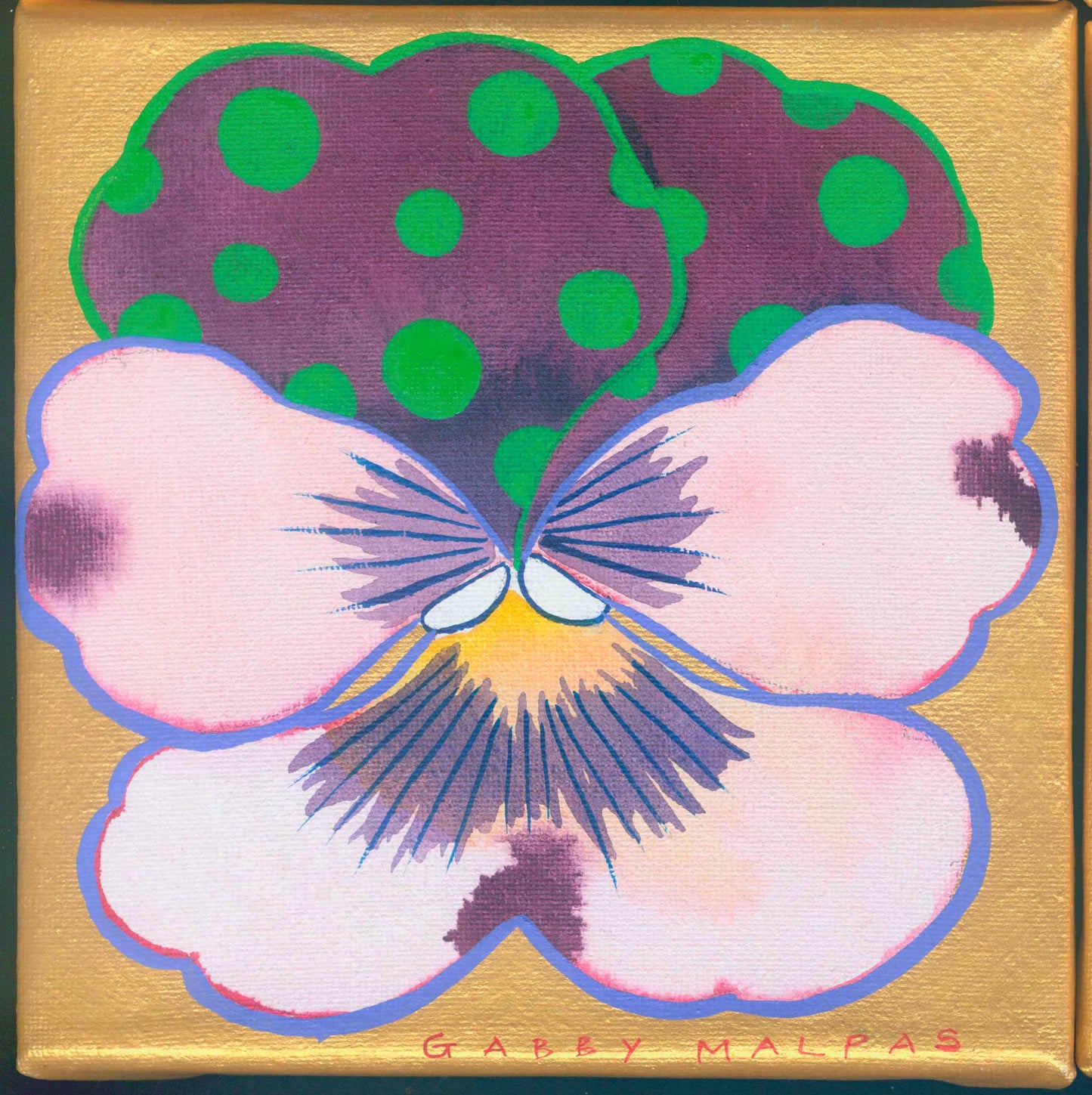 Spotted Pansy 8