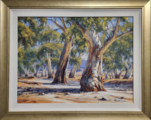 Load image into Gallery viewer, Gums of the Flinders
