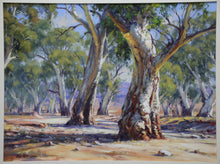 Load image into Gallery viewer, Gums of the Flinders
