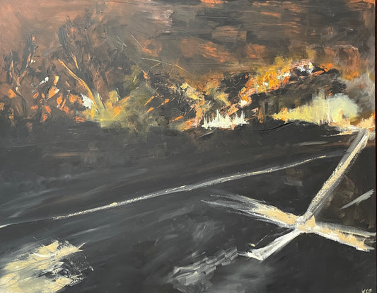 Firestorm at Holsworthy II (2021)