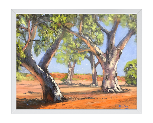 Broken Hill Gums
