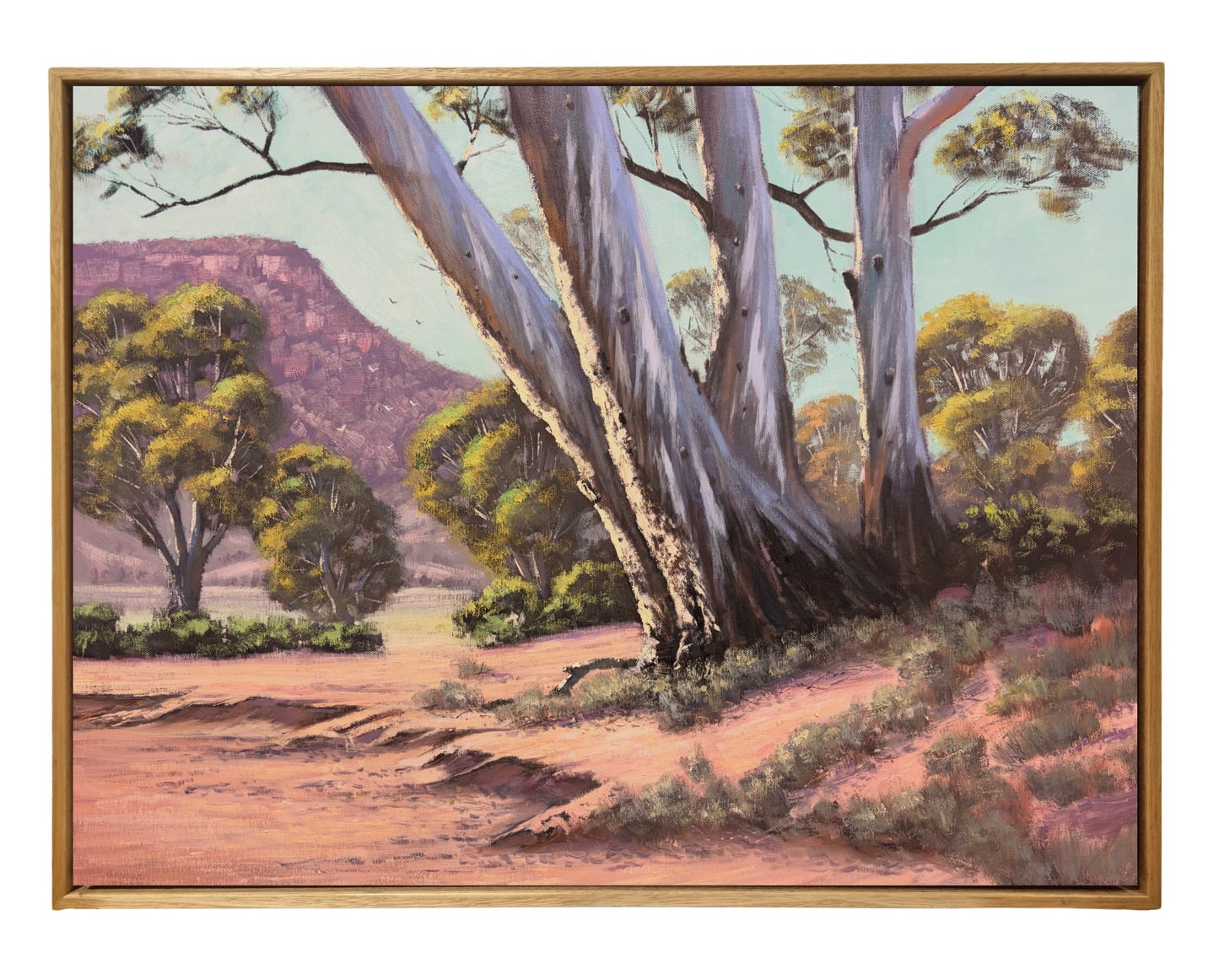 Gums in the Ranges