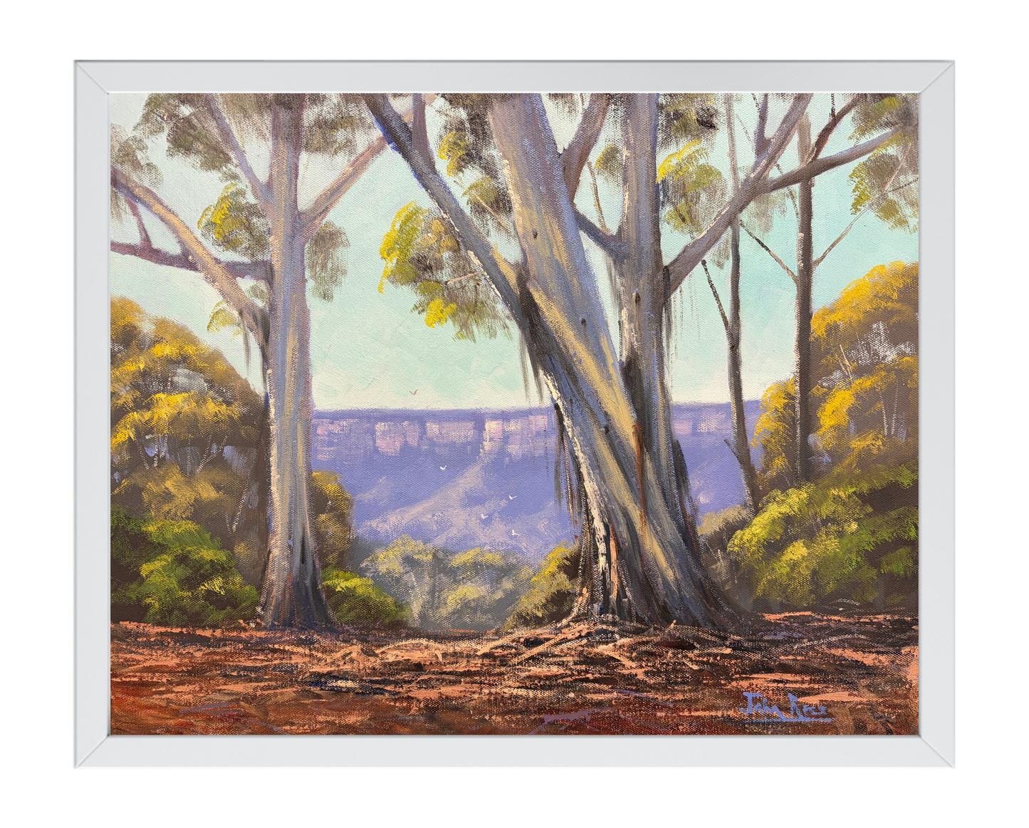 Mountain Gums, Leura