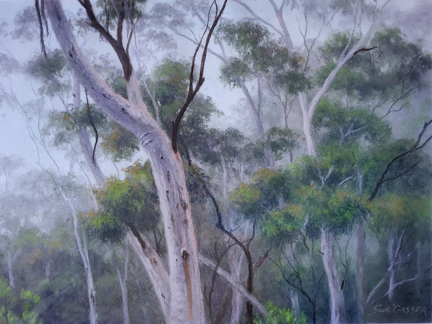 Katoomba Mist