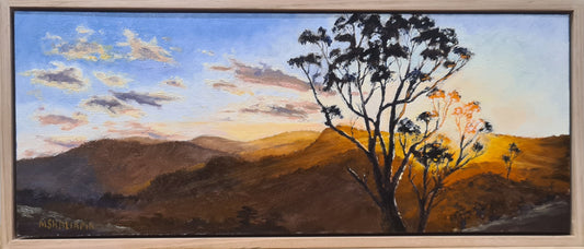 Late Afternoon Warmth