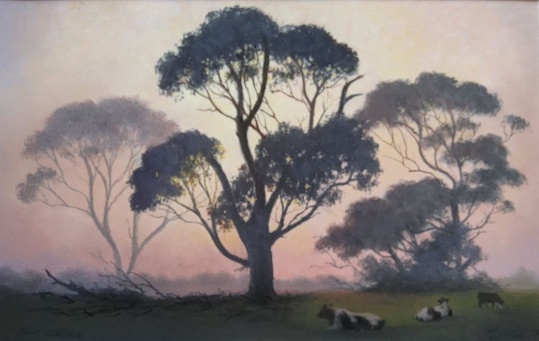 Morning Light