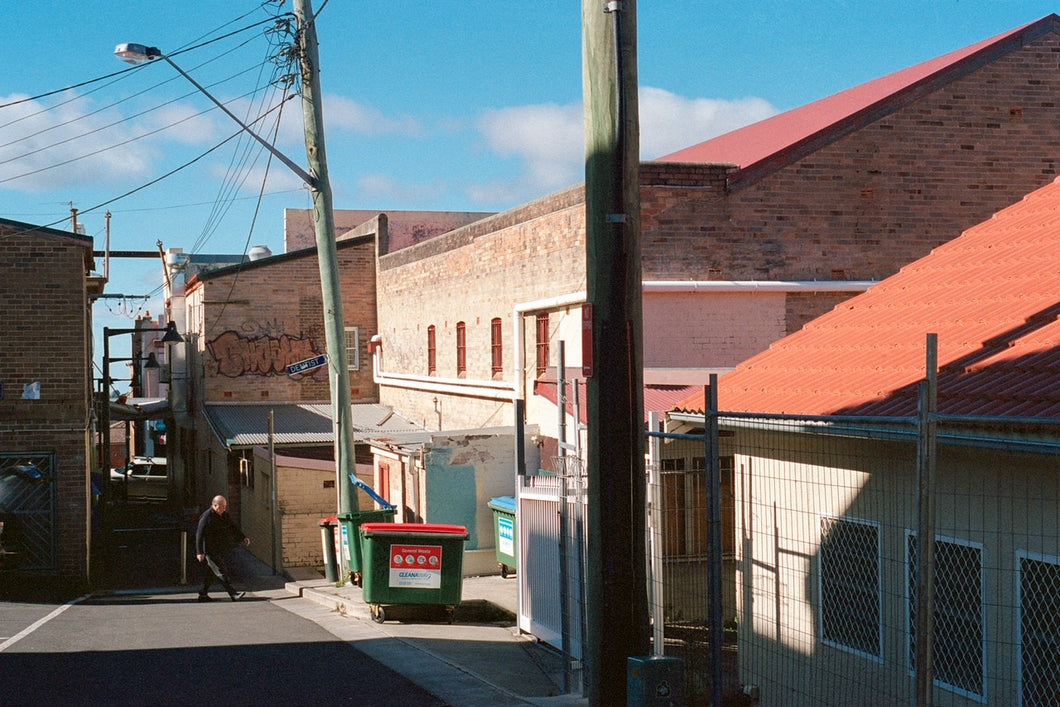 Froma Lane
