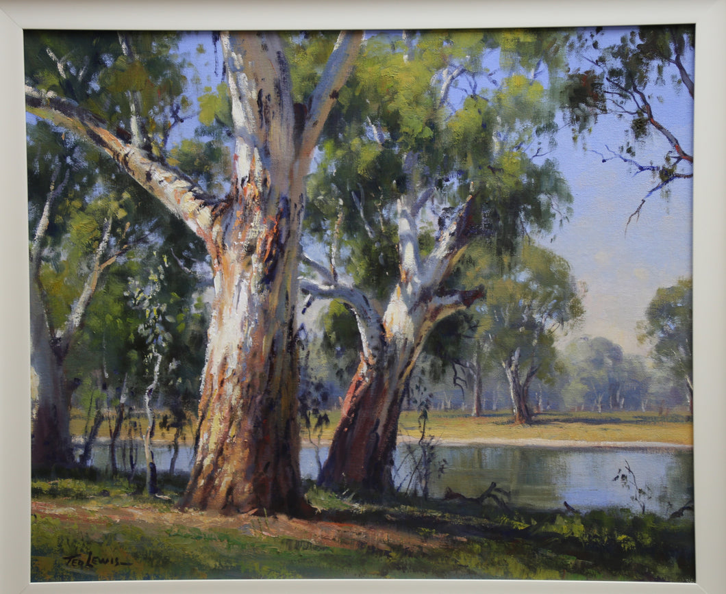 Old River Gums Forbes