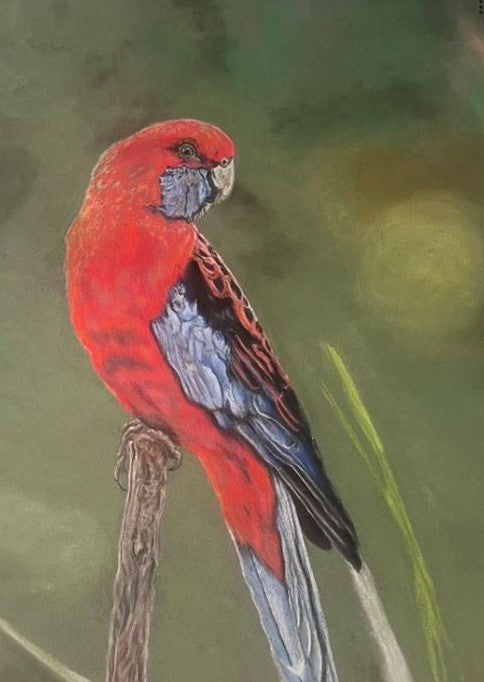 Rosella