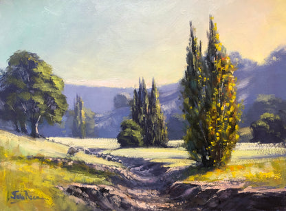 Unframed Original Landscapes by John Rice