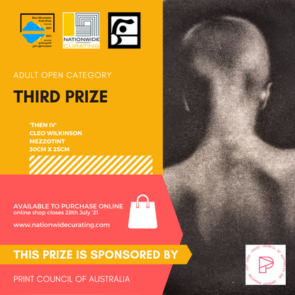 BLUE MOUNTAINS PRINT PRIZE 2021