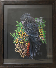 Load image into Gallery viewer, Red-tailed Black Cockatoo
