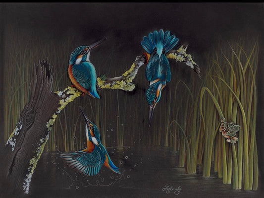 Kingfisher Frenzy